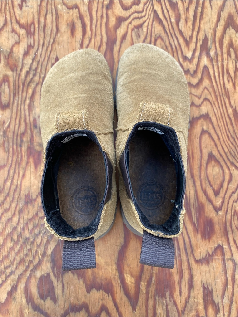 Lems Chelsea Boot - Suede - Picture 5 of 8